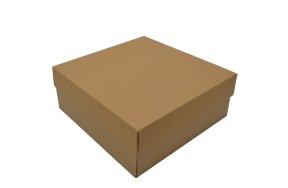 KRAFT BOX  25,5x25x10cm